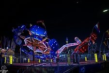 Scorpion