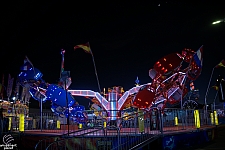Scorpion
