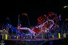 Scorpion
