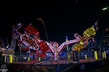 Scorpion
