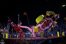Scorpion