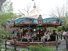 Rides