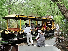 Yellow Rose Express Train