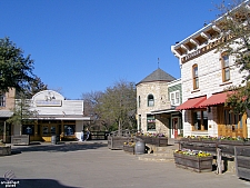 Texas Wild!