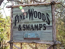 Piney Woods and Swamps