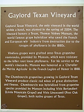 Gaylord Texan Resort