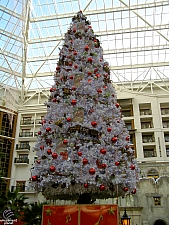 Gaylord Texan Resort