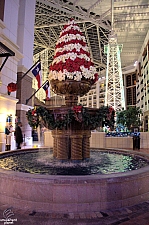 Gaylord Texan Resort