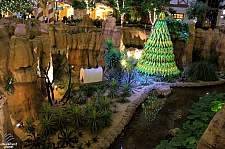 Gaylord Texan Resort