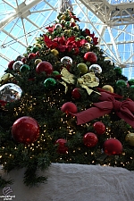 Gaylord Texan Resort