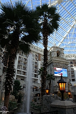 Gaylord Texan Resort