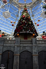 Gaylord Texan Resort