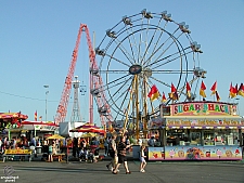 Houston Livestock Show & Rodeo