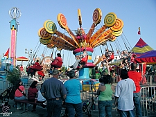 Lolli Swing