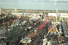 Houston Livestock Show & Rodeo