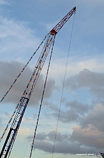 Bungee Jump