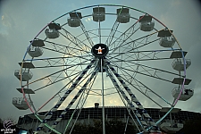 Liberty Wheel