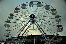 Liberty Wheel