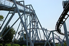 Great Bear