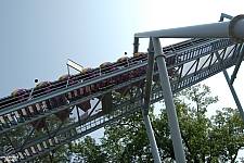 Great Bear