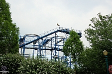 Wild Mouse