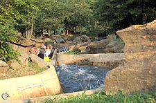 Raging Rapids in Boulder Canyon