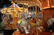 IAAPA 2010