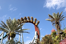 Dragon Challenge