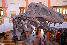 Jurassic Park Discovery Center