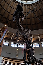 Jurassic Park Discovery Center