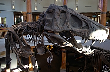 Jurassic Park Discovery Center
