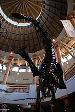 Jurassic Park Discovery Center