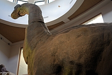 Jurassic Park Discovery Center
