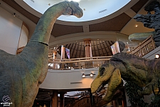 Jurassic Park Discovery Center