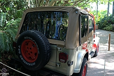 Jurassic Park