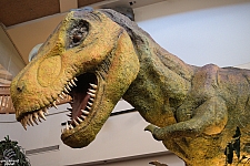 Jurassic Park Discovery Center