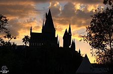 Harry Potter and the Forbidden Journey