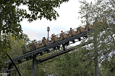 Flight of the Hippogriff