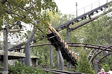 Flight of the Hippogriff