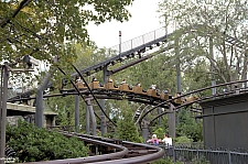 Flight of the Hippogriff