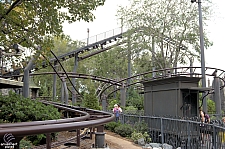 Flight of the Hippogriff