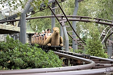 Flight of the Hippogriff