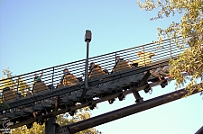 Flight of the Hippogriff