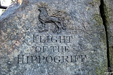 Flight of the Hippogriff