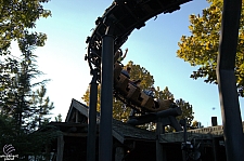 Flight of the Hippogriff