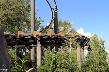 Flight of the Hippogriff