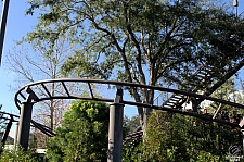 Flight of the Hippogriff