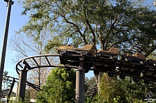 Flight of the Hippogriff