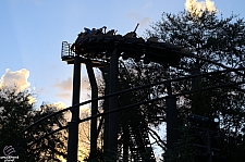 Flight of the Hippogriff