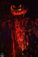 Scary Farm 2017